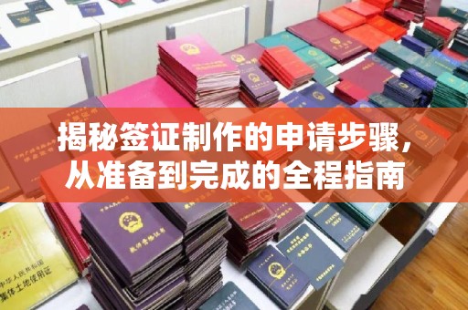 平江揭秘签证制作的申请步骤，从准备到完成的全程指南